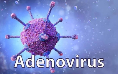 Adeno virus